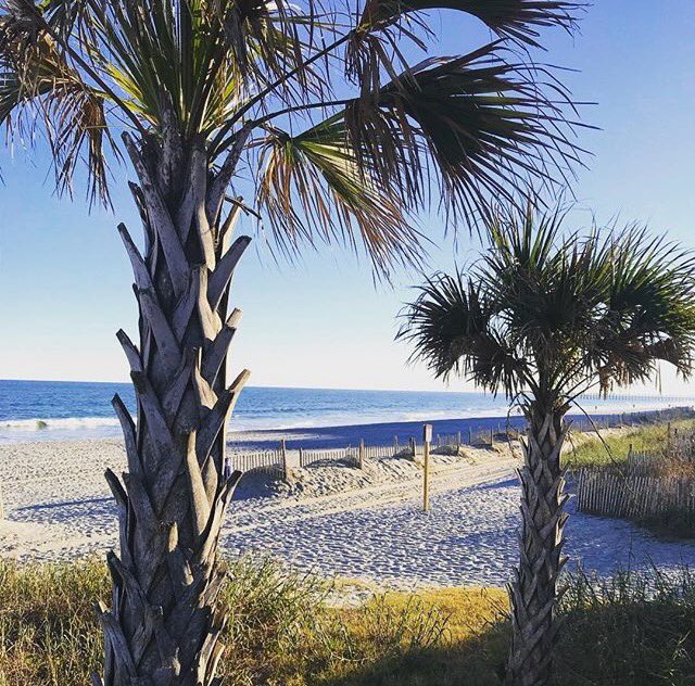 chrisvelamb's tweet photo. 70 degrees and sunny in Myrtle Beach ... not too bad. #MyrtleBeach https://t.co/IcxR8KOBTV