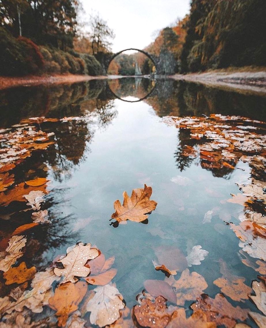 waistedangels's tweet photo. You can never be bored in a world as beautiful as this 🍁🍂 Photo by #WHIHeart #autumn2017 #leafs • https://t.co/lqPqsnBZLR