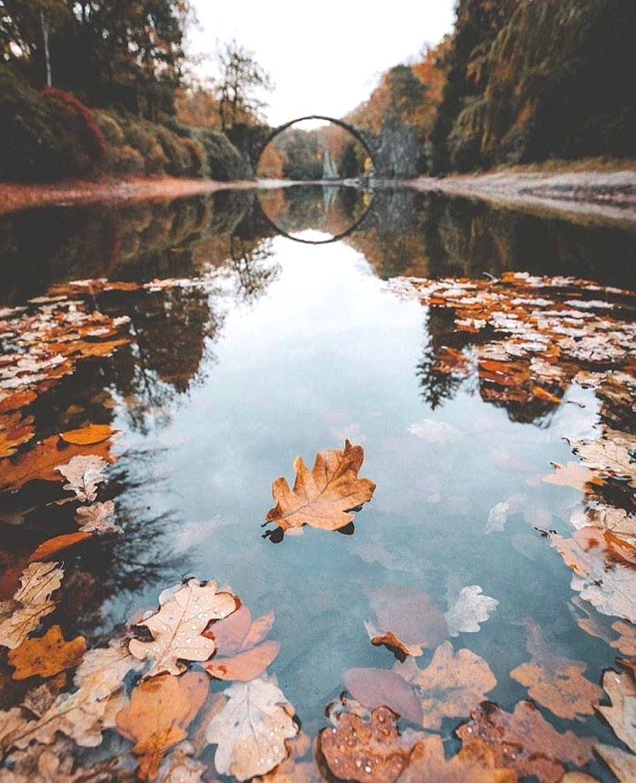 You can never be bored in a world as beautiful as this 🍁🍂 Photo by #WHIHeart #autumn2017 #leafs •