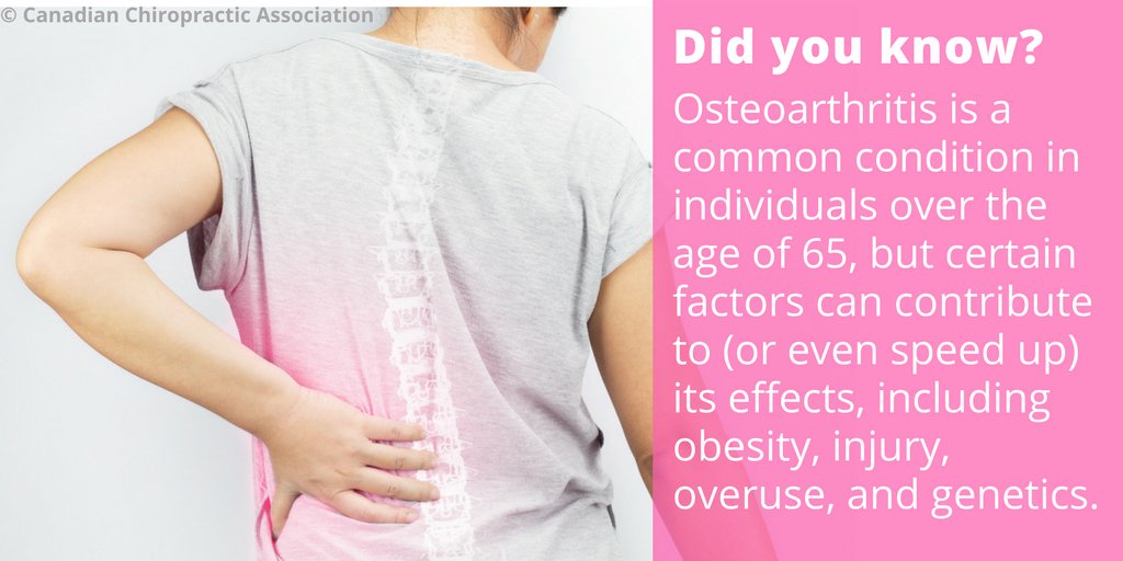 Currently, there is no known cure for the loss of cartilage within our joints. #Exercise is a key component in maintaining healthy joints!  #getmoving #chiropractic #WeHaveYourBack