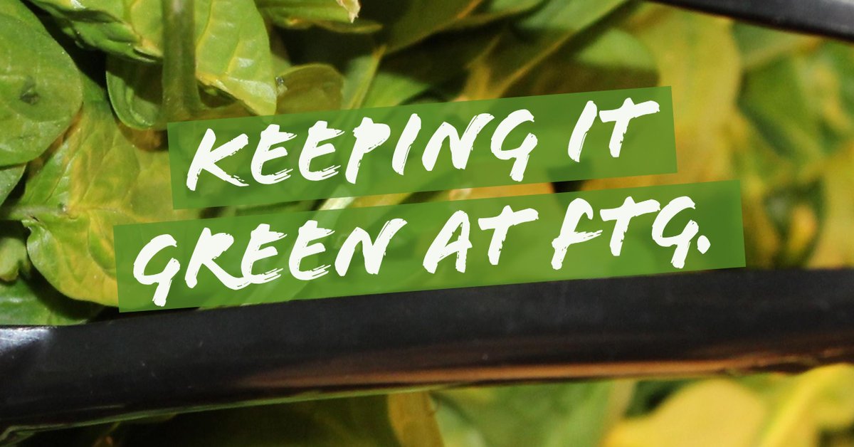 flattopgrill's tweet photo. Who says its not easy being #green? #vegetables #diet #healthyeating #fitfam #FTGFresh #FTGMe #whatveganseat https://t.co/TXf2N8toD7