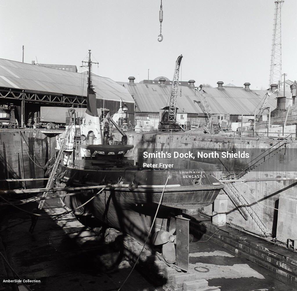 Old Low Light 💙 tweet media