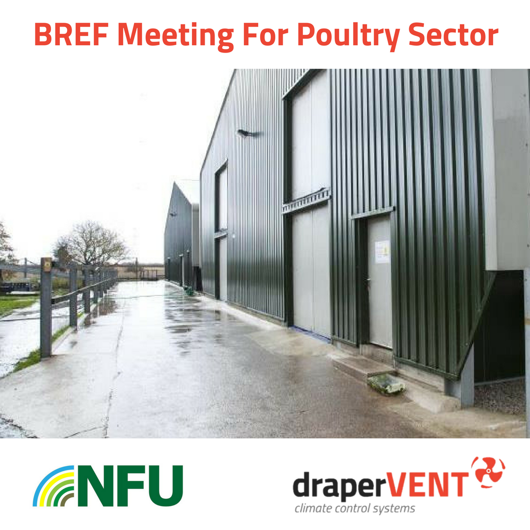 draperGROUP tweet media