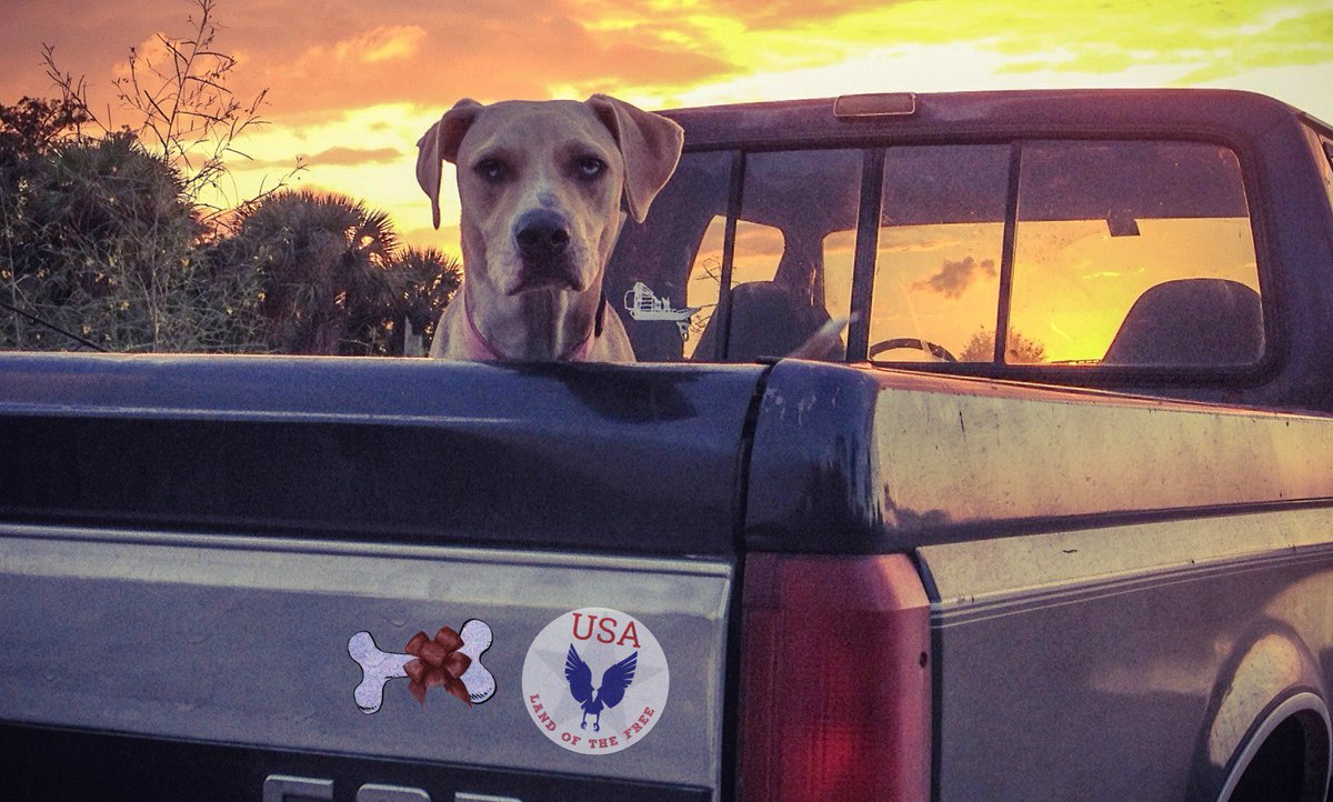 weglyph's tweet photo. #BestFriends #HomeoftheBrave #GoodThings It's why #WeGlyph https://t.co/IINtdNk7ob