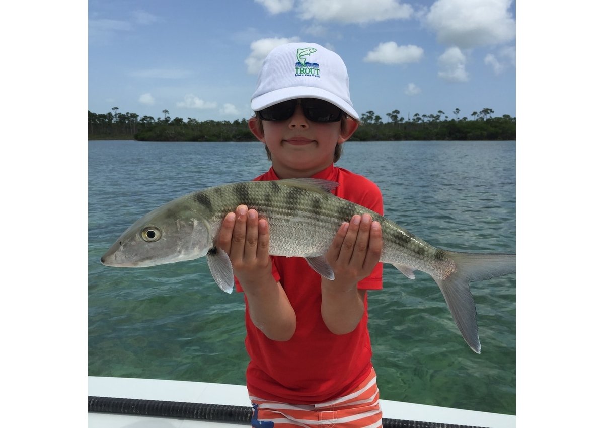 TheDeepWaterCay's tweet photo. DEAL ALERT: Book now for a last-minute family holiday trip to the Bahamas to beat all holiday gifts. Two paying adult packages get two kids under age 16 to come along for FREE with activities included!  Travel from December 1 - January 2 only. Click link: https://t.co/F0K9YWxl5z https://t.co/gbxydlv3um