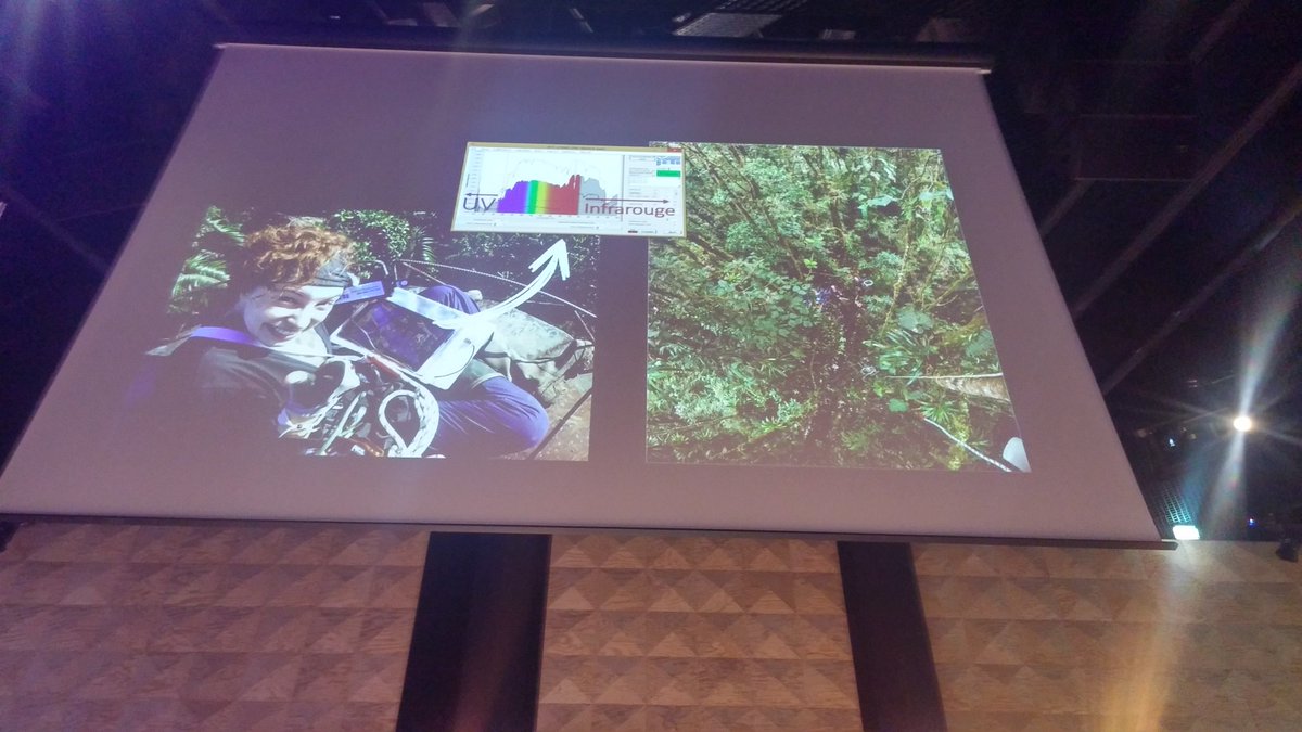 phbaud's tweet photo. Maelle Vilbert ou les papillons passionnément. Partir étudier la transparence des ailes des lépidoptères dans la foret tropicale #lumiere #photonique 
@Le_Museum #TEDxSaclay https://t.co/KfjPq7vVyp
