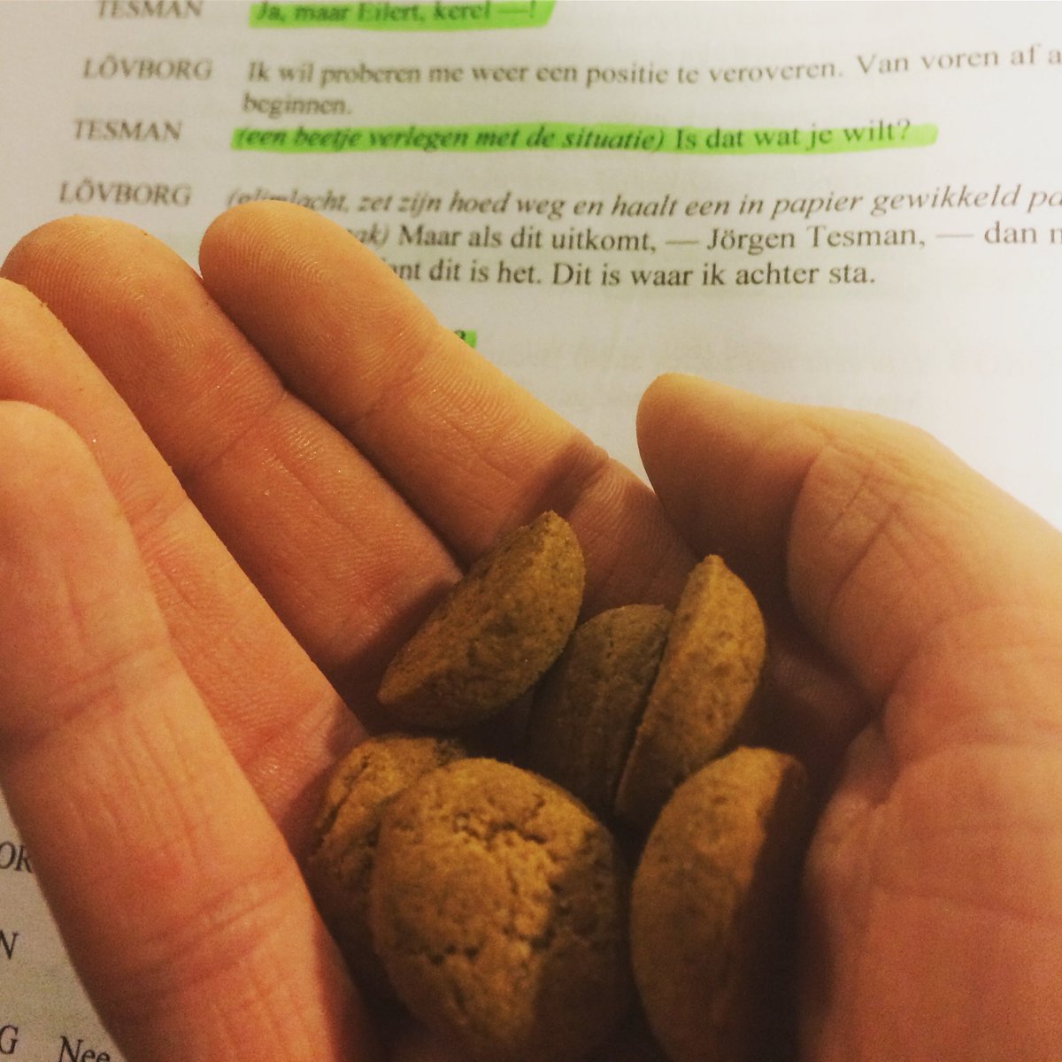 tejatertick's tweet photo. #Pepernoten en #acteren! Een buitengewone combinatie! https://t.co/pKdX7rRJMy
