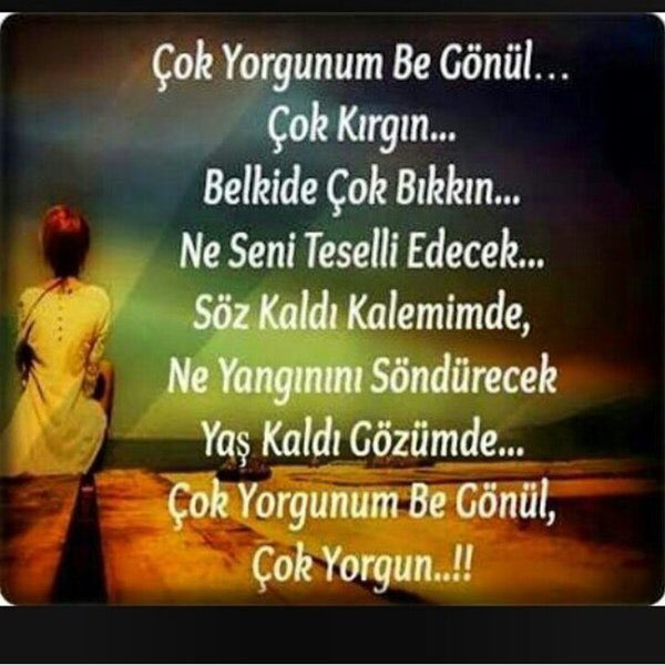 BanuBerberoglu (@banu_berberoglu) on Twitter photo 