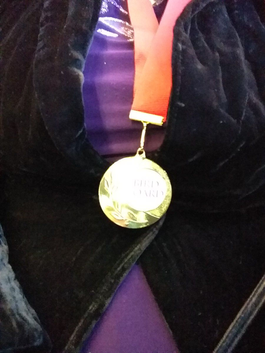techiefairy2pt0's tweet photo. Had a great time at #BBCL17. And, I won a medal! Last time I won any kind of achievement award was at primary school! https://t.co/h9OexDGGSx