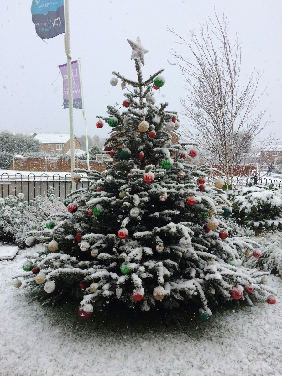 ChapterHomes's tweet photo. We are totally feeling festive on site with our Christmas tree up and all the snow falling.

Call in on Saturday to have a mince pie with hot chocolate and see how we can get you moving in 2018! https://t.co/IP6nDibFZj