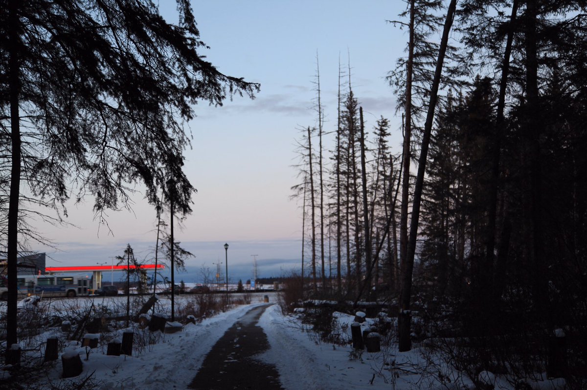 MattSetlack's tweet photo. @CityofColdLake thanks for plowing the #milleniumtrail. #Thankful for a paved path to #runcommute and #runeveryday @Ronhill_UK @RunningRoom https://t.co/CvYE6EGrrU