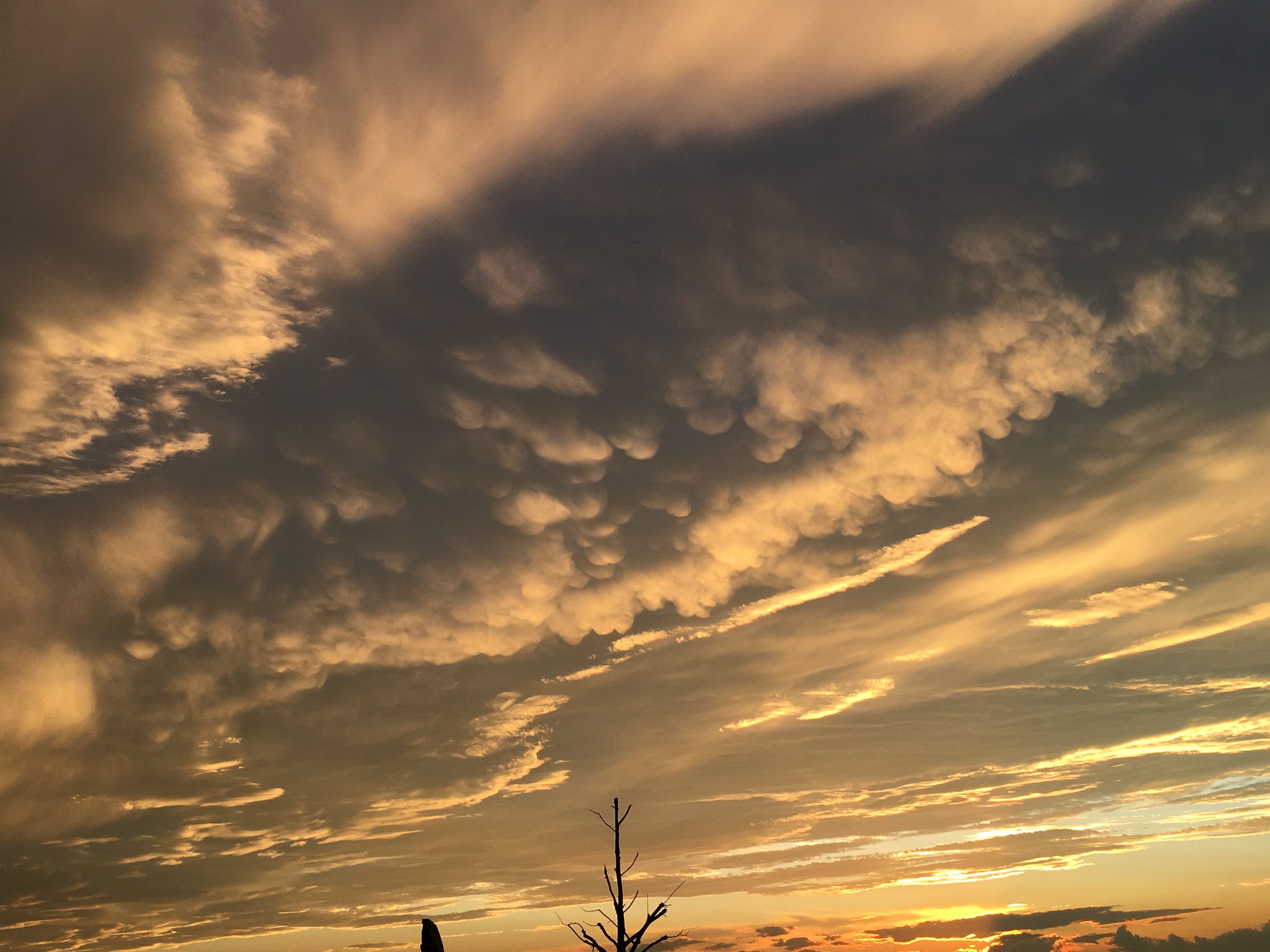 荒木健太郎 on X: 