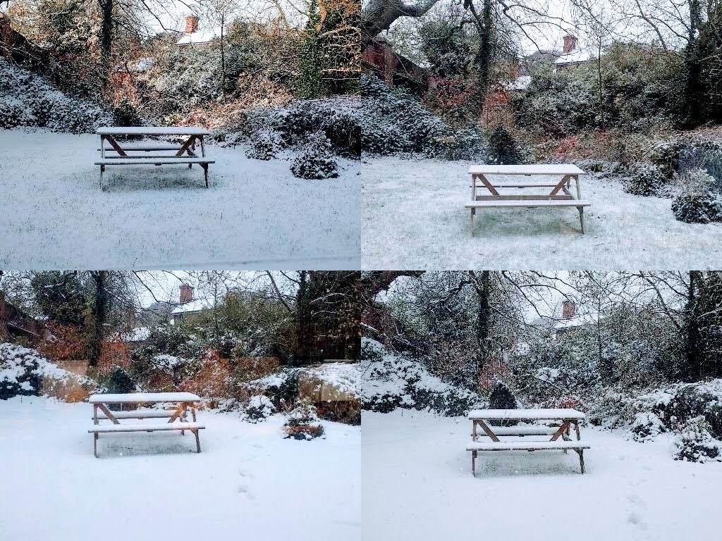 MMCreative's tweet photo. Today’s stages of snow in the MMC garden. https://t.co/Hg3v24nxHT