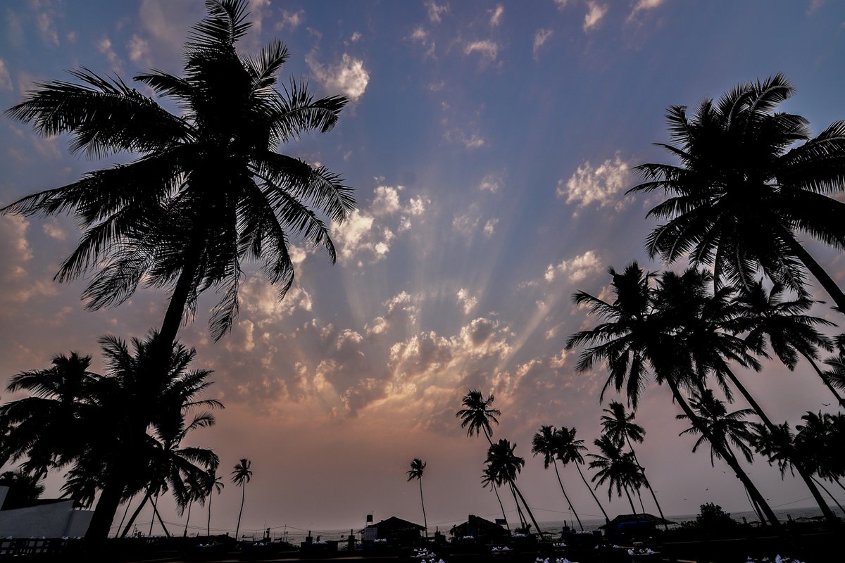 longuinhosgoa's tweet photo. Perfect place to relax, unwind and watch the sunset!
#Goa #LonguinhosGoa #Loca #LocaBeachBarAndRestaurant #Colva #ColvaBeach #RestaurantsInGoa #Restaurant #Seafood #Continental https://t.co/EadhZek7g0