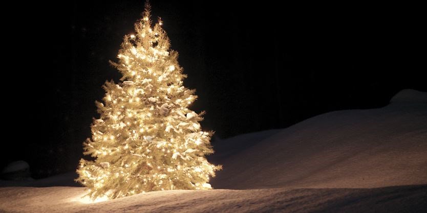 ChampionEditor's tweet photo. Hey #MiltonON! Help the @Milton_Champion build a Christmas light tour. Let us know about homes beautifully decorated for the holidays and we'll plot a route that will take you from enchanted destination to the other. https://t.co/8NL40f0VDo https://t.co/2QCldIiGf2