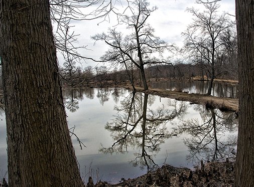GWTextileMuseum's tweet photo. Our #DCMondays program next week will feature #FortheRecordDC artist Bruce McNeil. McNeil will discuss his photographs of Kenilworth Park and Aquatic Gardens that are on view in our Washingtoniana galleries. Join us December 4 at noon #dchistory https://t.co/MBzsg39SCR https://t.co/zzWnx8nBp4