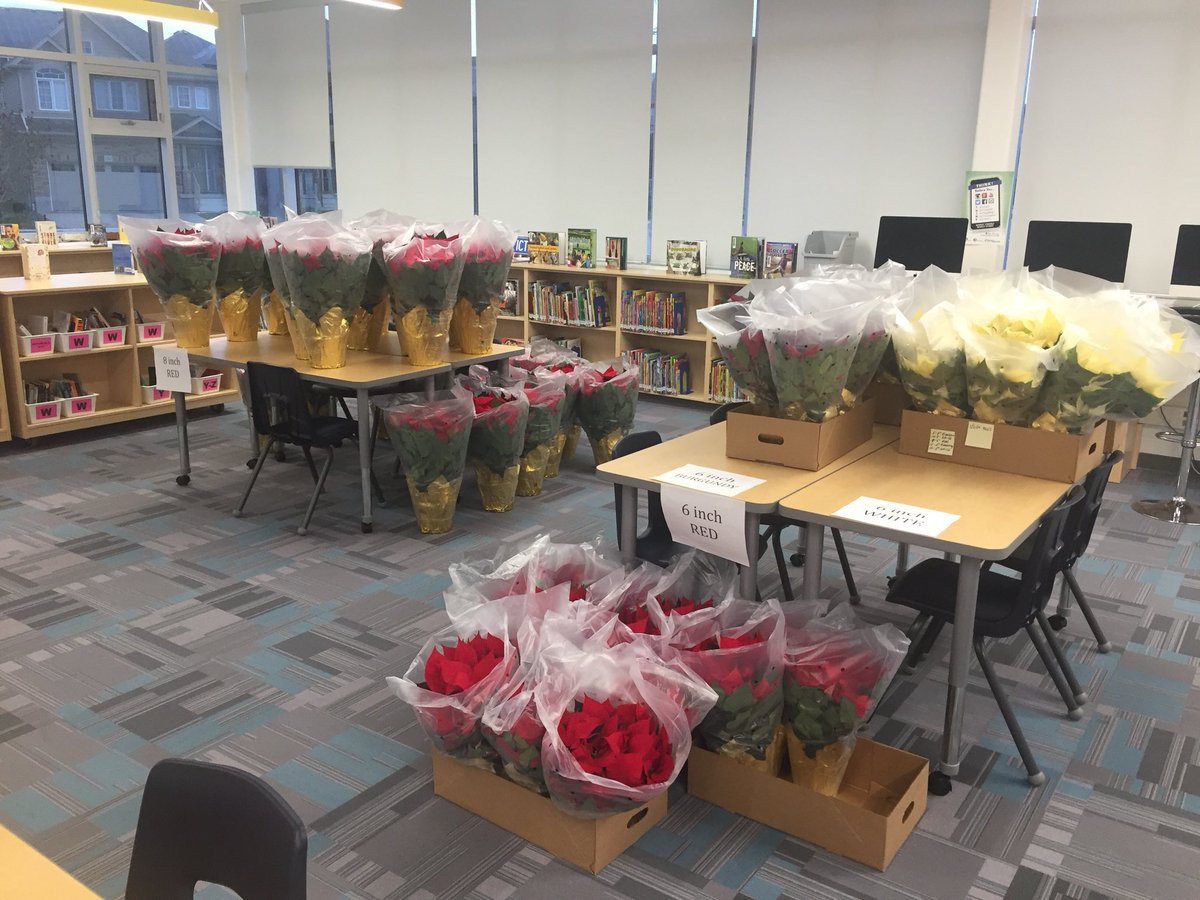 MmeHutton's tweet photo. Poinsettia pick up day today until 5:00 at VH Library!Don’t forget!! @viswrdsb https://t.co/jEOXNpcI9s