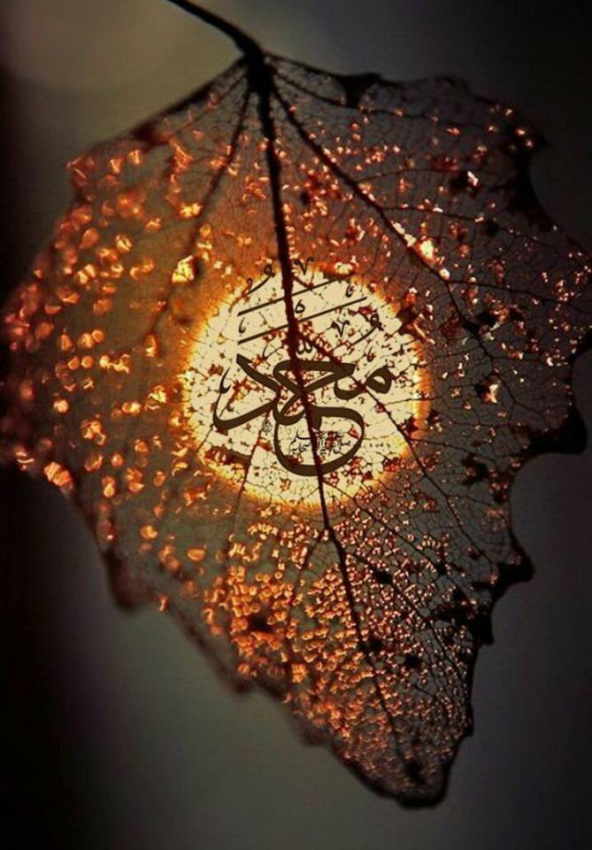 KIM02FADILA02's tweet photo. بلغ 🍒العلا 🍒 #بكماله
كشف 🌿الدجى🌿 #بجماله
حسنت🌾 جميع 🌾#خصاله
🌻صلوا 🌴عليه 🌴واله🌻
مبارك عيد #المولد_النبوي_الشريف على الأمة الإسلامية والعربية وكل عام وأنتم بخير https://t.co/jrRo3xtdWr