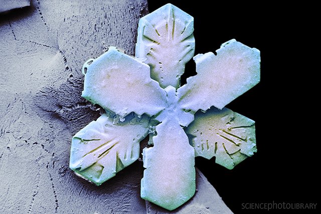 Baby it's cold outside! Scanning electron micrograph of a snowflake. Find out more: ow.ly/n9CF30gV32u #SnowWatch #uksnow #snow #SEM #Winter #Frozen