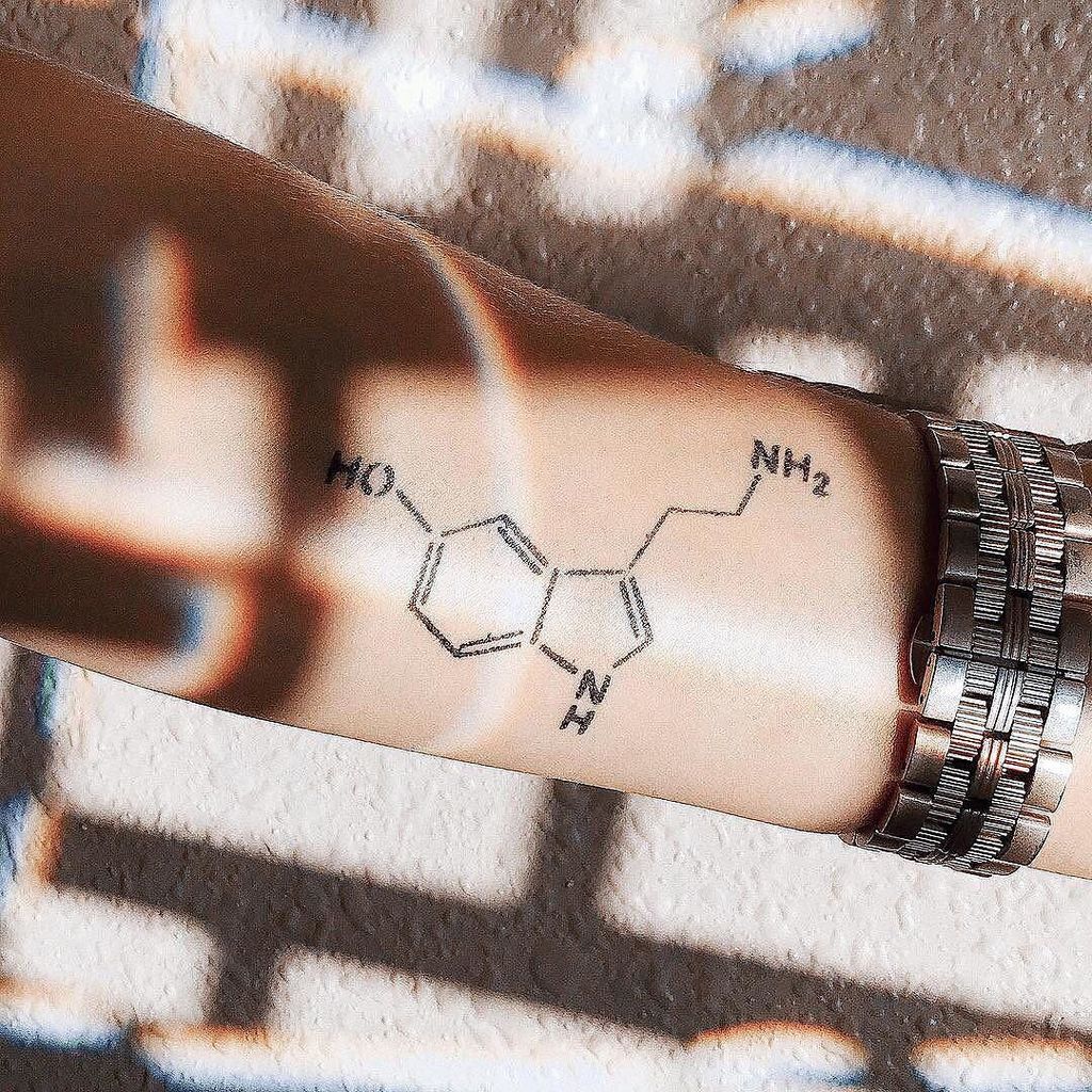 Inkbox on Twitter In all seriousness this is a tattoo that i wish  wouldve lasted forever It is the chemical composition of Serotonin which  is the same chemical in my brain that
