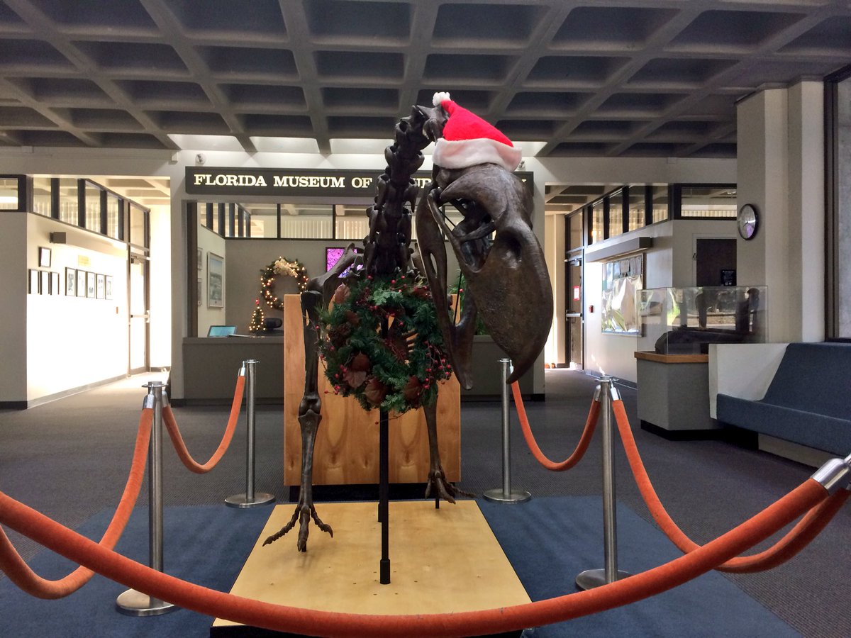 DitiJay's tweet photo. New look? #flmnh #museums #terrorbird #titaniswalleri @FloridaMuseum https://t.co/vS7B13lWt7