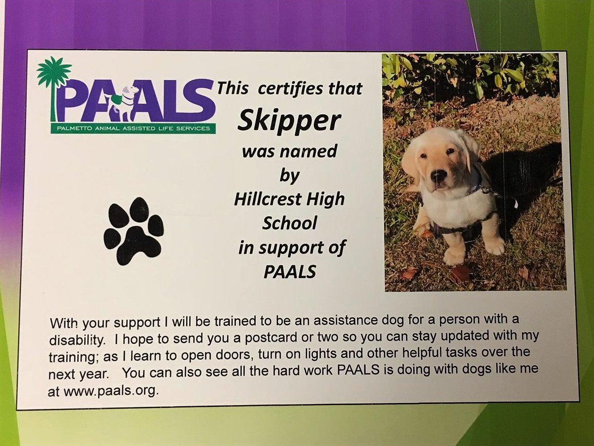 HillcrestHSRams's tweet photo. Meet Skipper, named in honor of Dr. Skipper! PAALS reminder that good things continue long after Spirit Week is over. #Ramtastic #SpiritWeek2017 #PAALS https://t.co/MXZRt4UUb3