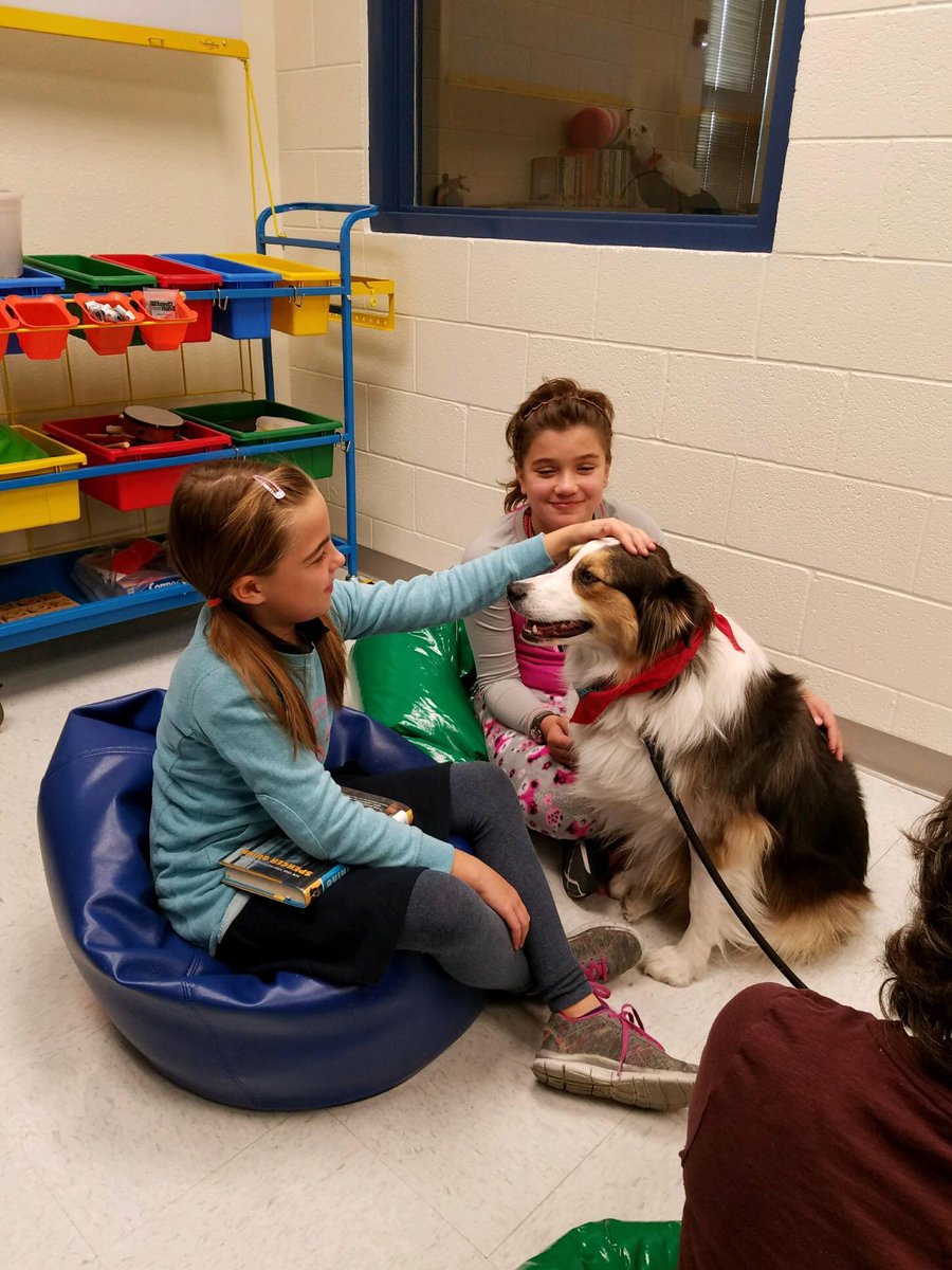 BarronLibrary's tweet photo. Cali, a Tail Waggin’ Tutor ❤️ hearing Barron readers sharing a great book! #iAmEPISD #episdlibaries https://t.co/P7OKlrLPiT