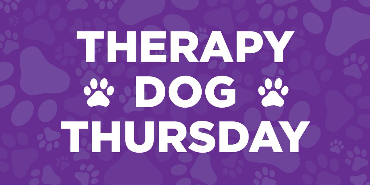 msulibraries's tweet photo. Having a stressful week? Come pet a therapy dog today, 11/30, from 3:00-4:30pm on 1-East of the Main Library! #TherapyDogThursday 🐾 https://t.co/EGf0sQZ1WH