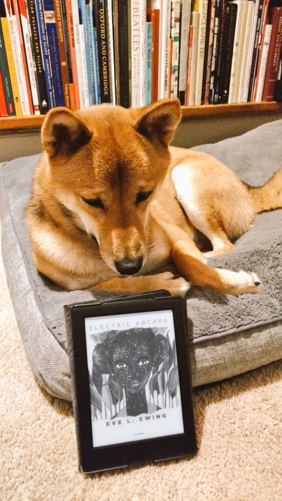 ThorInuOdinson's tweet photo. Shiba-Human book club with @jdmar3. December's book is @eveewing's Electric Arches. https://t.co/Ue38MPGWTL