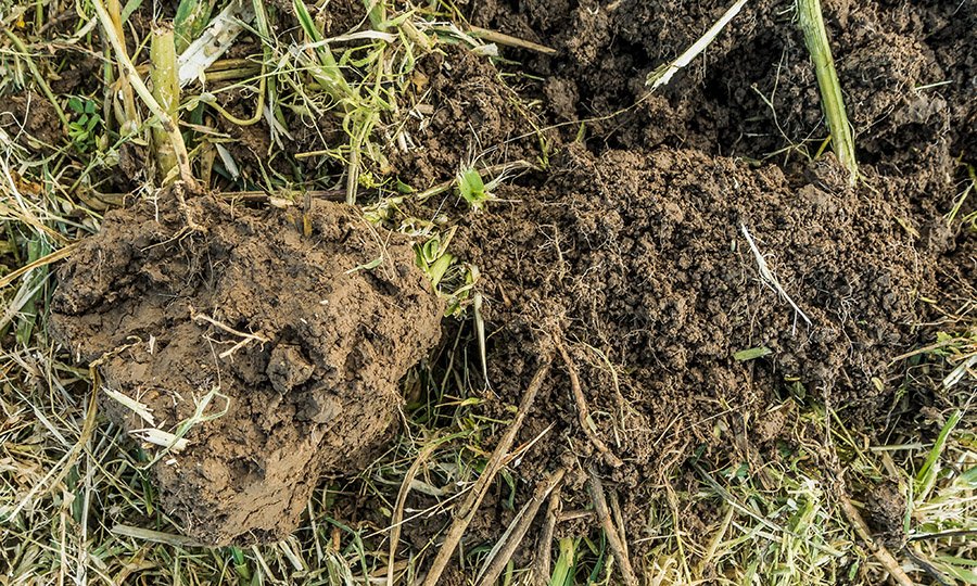 _PLANTeco_'s tweet photo. Be aware of chopping #covercrops if #soil is too wet.
Compaction under the tracks is the result (picture)
=> all the work of cover crops is lost. 
Especially in #notill its  better to wait until soil is frozen or dry. https://t.co/qB9fzvahnA