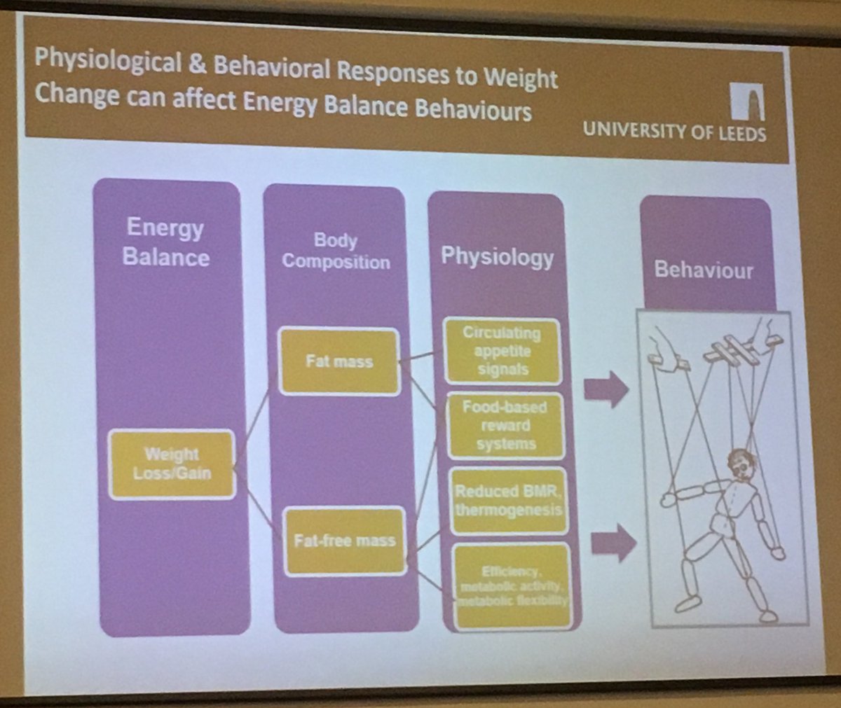 VSnowdonCarr's tweet photo. Dr Mark Hopkins reminding us about the physiological drivers for eating behaviour #BDAObesityEvent https://t.co/0FF1bqrfLD