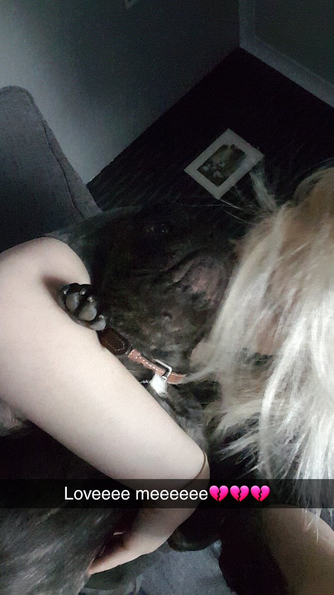 Chloeella_'s tweet photo. 'Pls chloe...piss off' he wont love me 🙃🙃🙃 https://t.co/0AzcsbPk2S