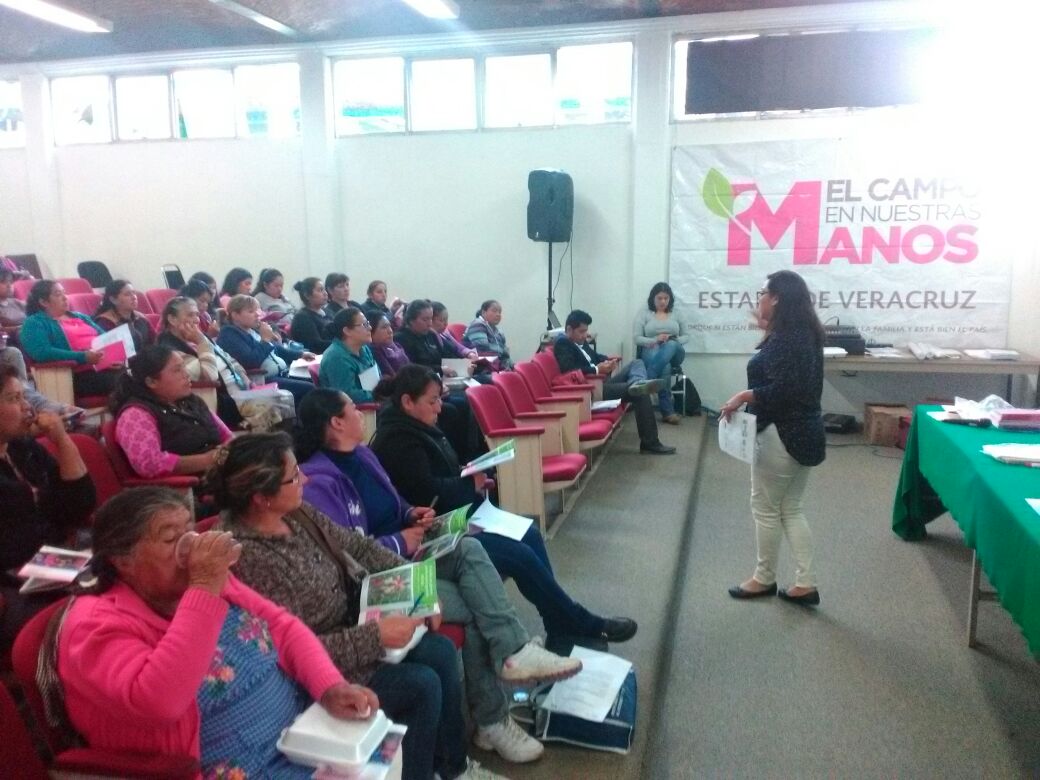 SagarpaVeracruz's tweet photo. Este jueves se llevó a cabo el Taller de Educación Financiera a beneficiarias del Componente El Campo en Nuestras Manos en Veracruz. #CENM #Capacitación
#Mujeres https://t.co/fEhGUsFfRB