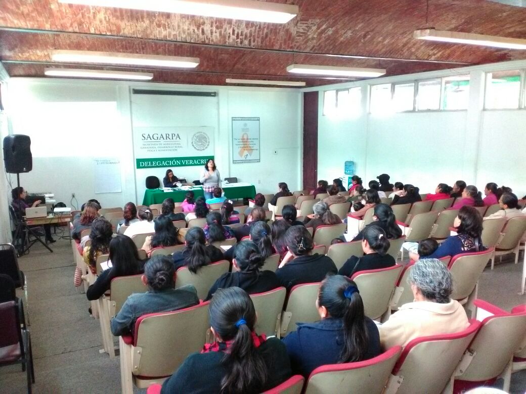 SagarpaVeracruz's tweet photo. Este jueves se llevó a cabo el Taller de Educación Financiera a beneficiarias del Componente El Campo en Nuestras Manos en Veracruz. #CENM #Capacitación
#Mujeres https://t.co/fEhGUsFfRB