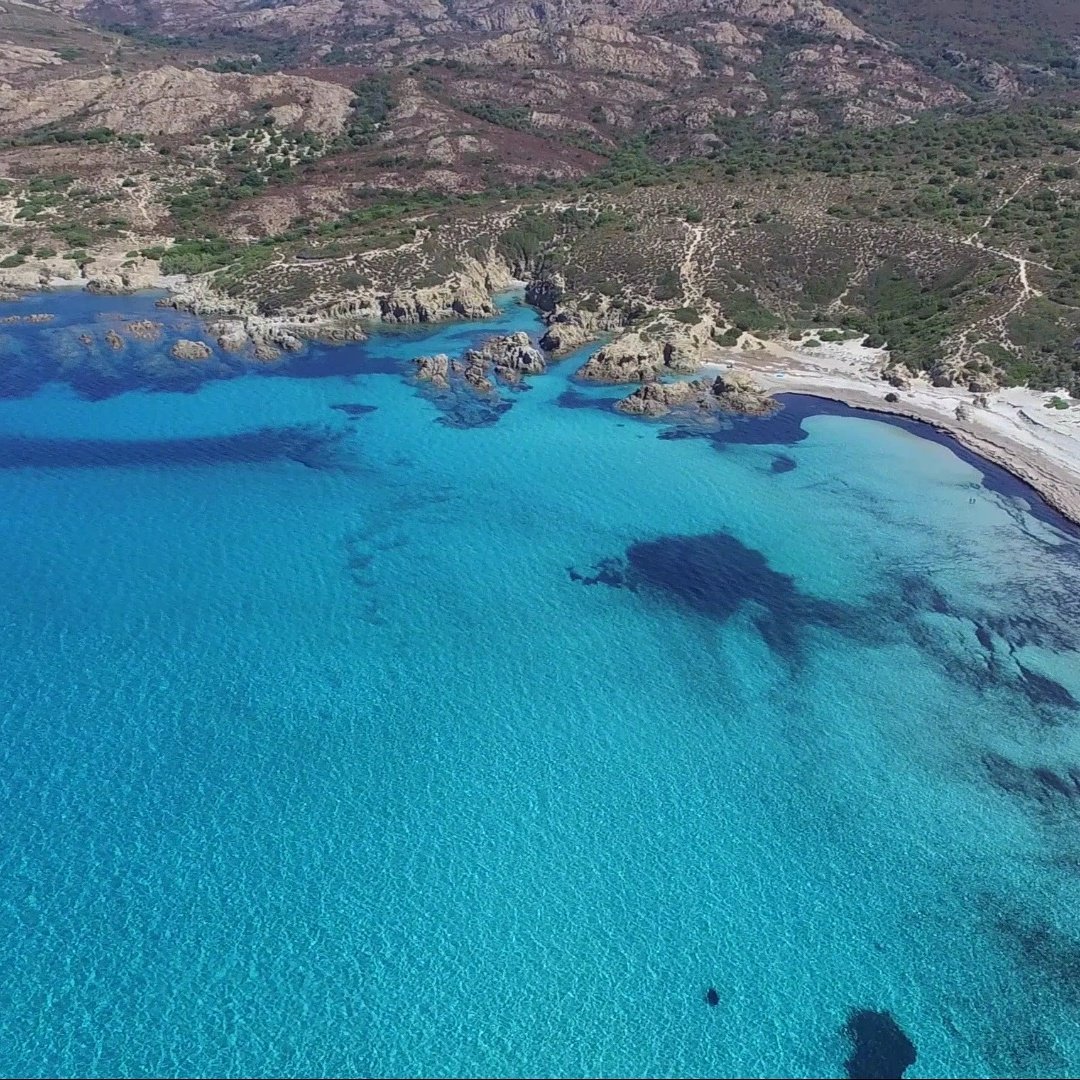 Natcorse's tweet photo. #QuandIlNeigeYaToujours les belles plages #corse suivez moi sur #Facebook #instagram https://t.co/ePGVdU6cx2 https://t.co/e1c3MOHT0Y