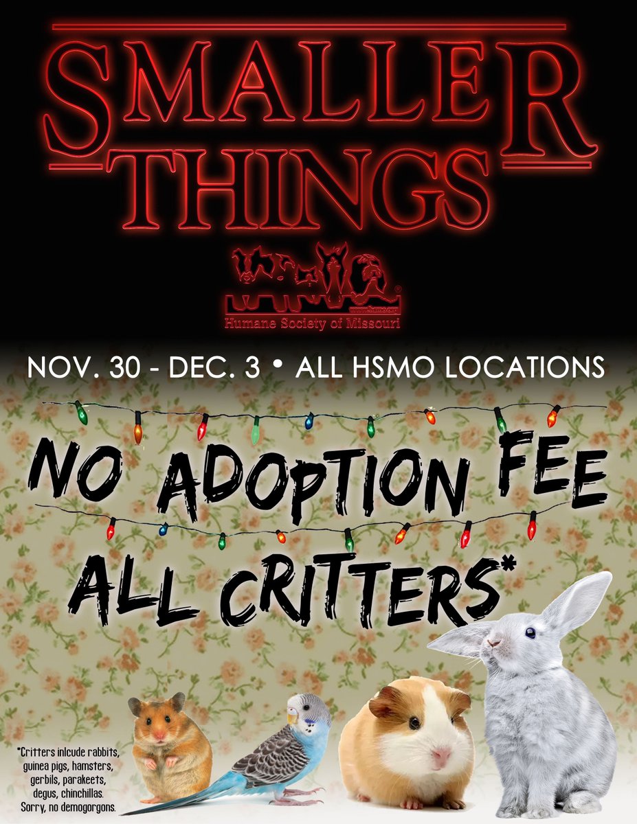 hsmo's tweet photo. When #JoyceByers said "I am going to bring him home!" we're pretty sure she was talking about adopting a cute critter from HSMO 😉 NO adoption fee for all critters, all weekend long! #smallerthings #strangerthings #adopt #STL https://t.co/lHsC8fB6zs