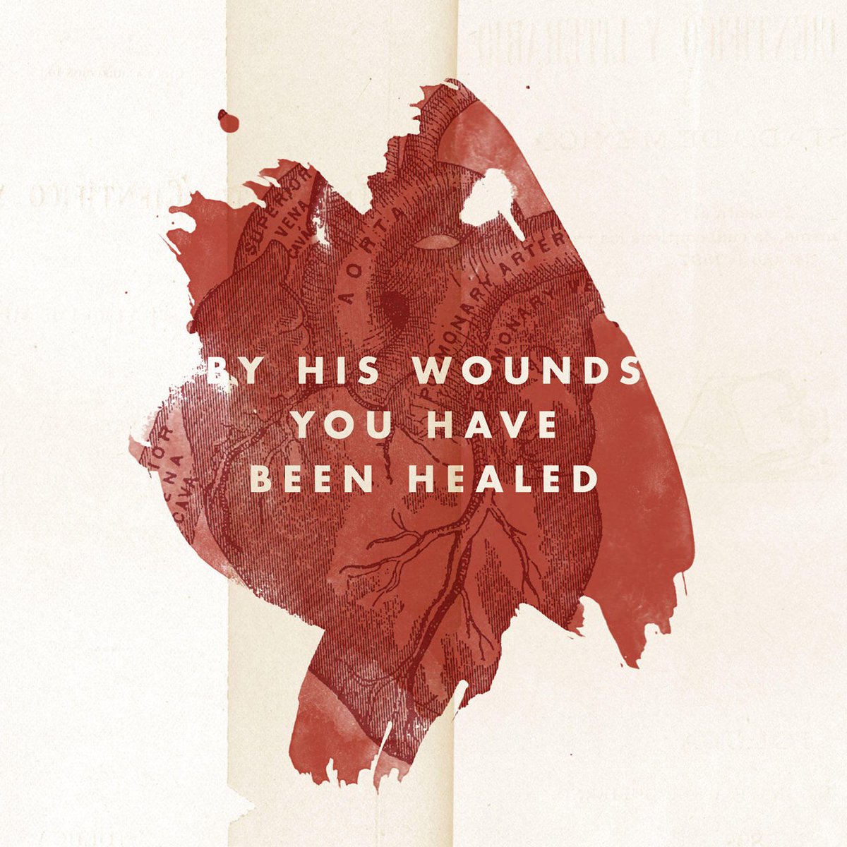 MainThingRadio's tweet photo. [Jesus Christ] Himself bore our sins in His body on the tree, that we might die to sin and live to righteousness...

https://t.co/h8kjG3B56p https://t.co/7sSHiV7Yll
