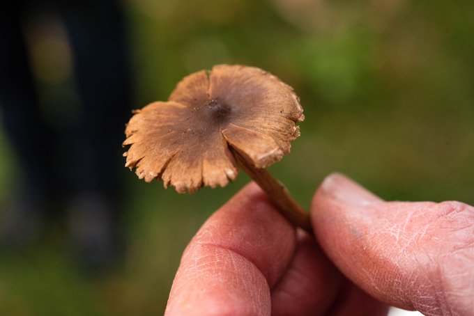 View image on Twitter