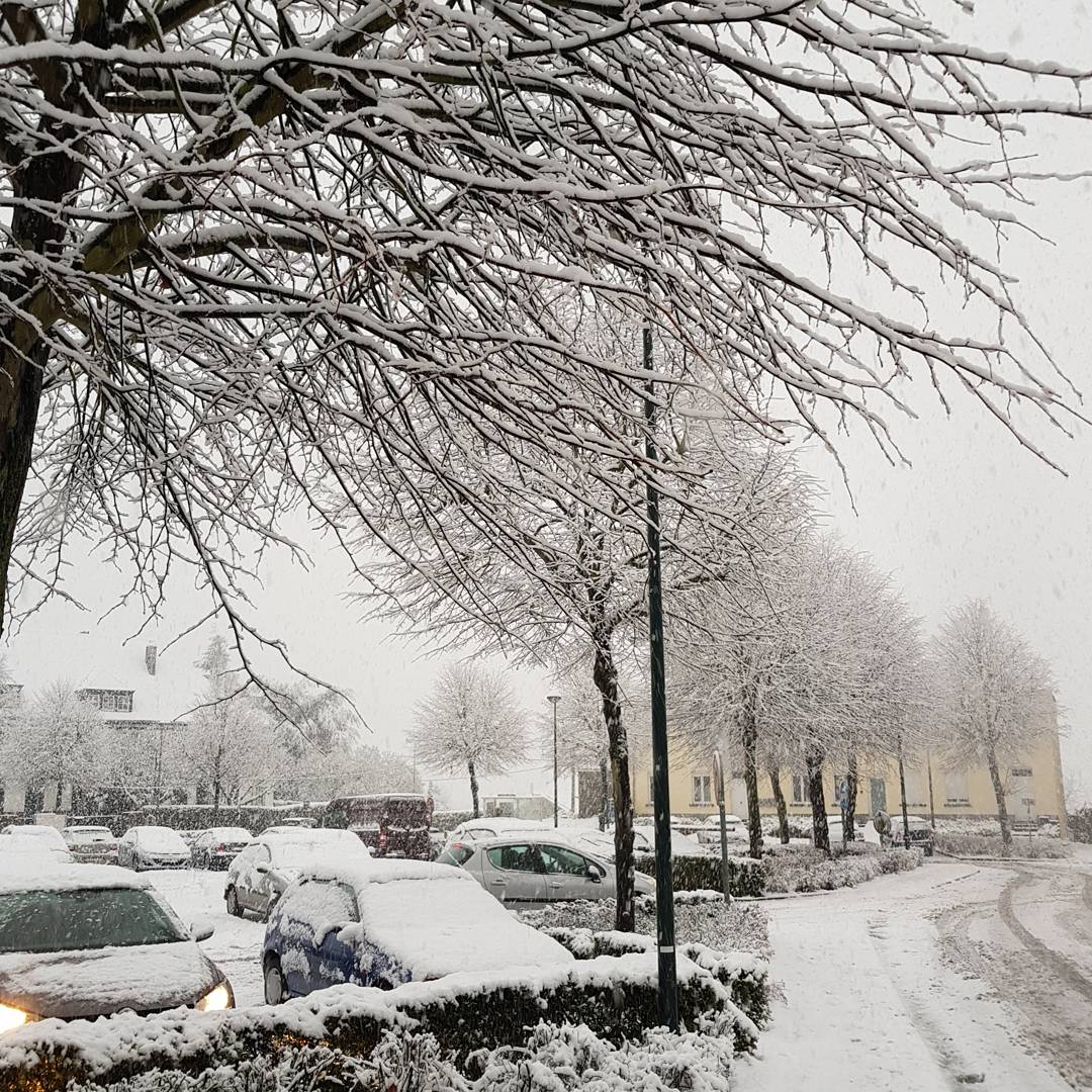 JonasDeBodt's tweet photo. Sneeuw had ik verwacht, maar dat het zo extreem ging worden... Wow! ❄❄❄❄☃️☃️☃️#sneeuw #onderdeindruk #genieten https://t.co/usIS45Qf8T