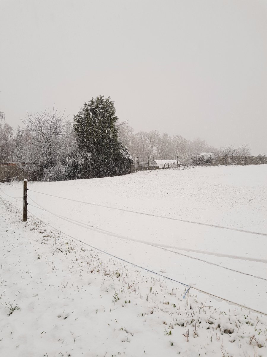 JonasDeBodt's tweet photo. Sneeuw had ik verwacht, maar dat het zo extreem ging worden... Wow! ❄❄❄❄☃️☃️☃️#sneeuw #onderdeindruk #genieten https://t.co/usIS45Qf8T