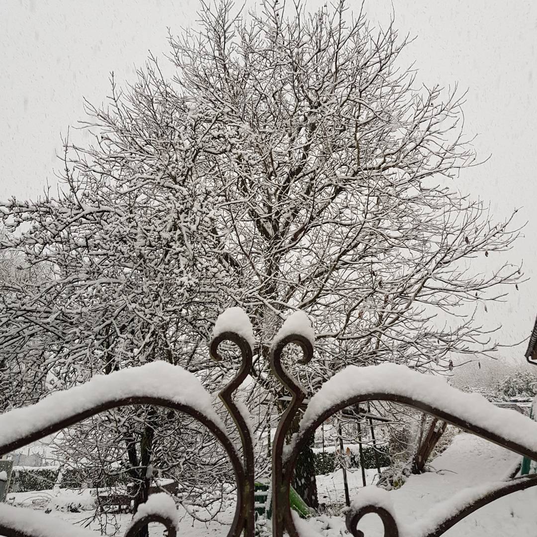JonasDeBodt's tweet photo. Sneeuw had ik verwacht, maar dat het zo extreem ging worden... Wow! ❄❄❄❄☃️☃️☃️#sneeuw #onderdeindruk #genieten https://t.co/usIS45Qf8T