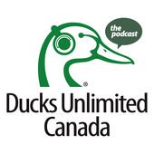 ducanada's tweet photo. Coming soon: DUC podcast Ep7: #Wetlands #wildlife in winter – how some party &amp;  some snooze through the holidays. Then, cooking the perfect goose to celebrate the season. Subscribe now! 
#DUCpod #podcast #trypod #biodiversity #cookyourgoose #nature 
https://t.co/8yALd5Q8m4 https://t.co/OkiYdm7BlN