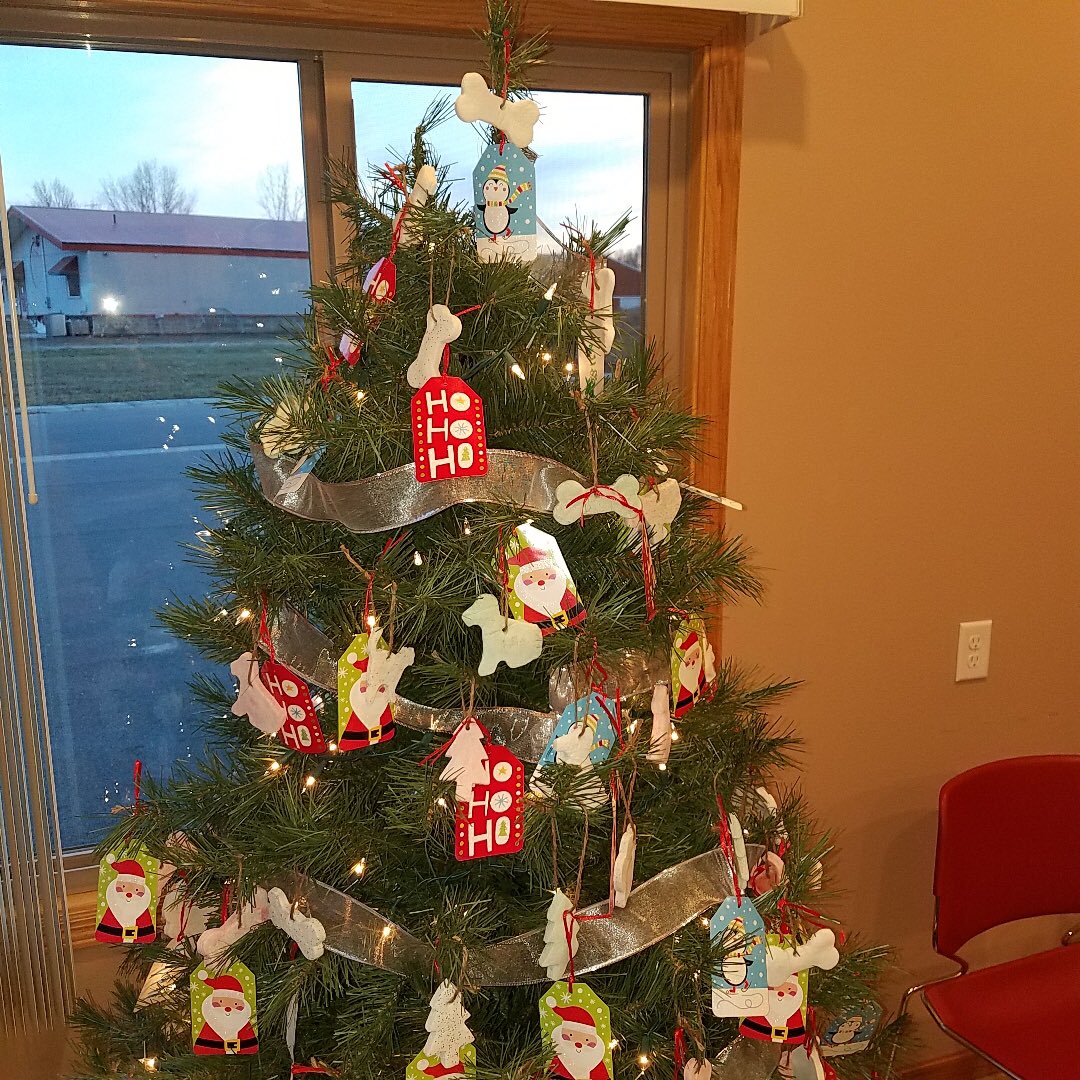 LinzkMrs's tweet photo. CSE Kindergarten and the Cold Spring Vet Clinic have worked together on a project of giving. Check out the ornaments for sale at the Vet Clinic! All $ raised will got to support the Humane Society!! @CSEROCORI @rocoridistrict @MrsFreeman_K @mrscardinal11 @RMKinders #RocoriProud https://t.co/vJY4xgKsnG