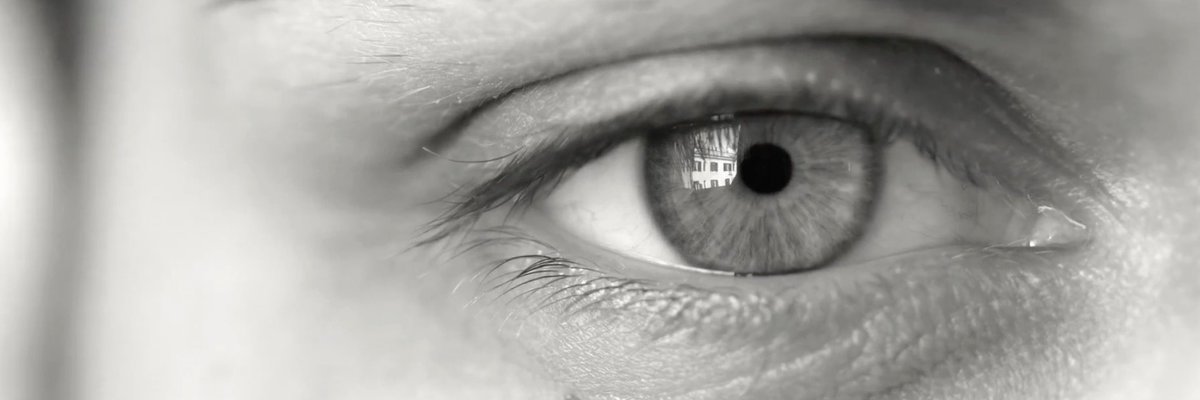 virgenextraUS's tweet photo. There are days in which everything looks different. For us, today is one of those days. https://t.co/hRbILJ4LSZ 

#virgenextra #wedobranding #creative #work #design #graphicdesign #branding #brand #rebrand #consulting #advertising #agency #agencylife #marketing #Video https://t.co/lm2bVrPRQE