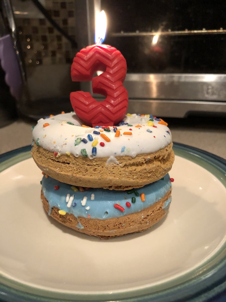 PolokeH's tweet photo. Celebrating my 3rd Birthday 11/29. They wouldn’t let me eat off of Mama’s nice China. 🎂🍩 https://t.co/xGD2PCDlHL