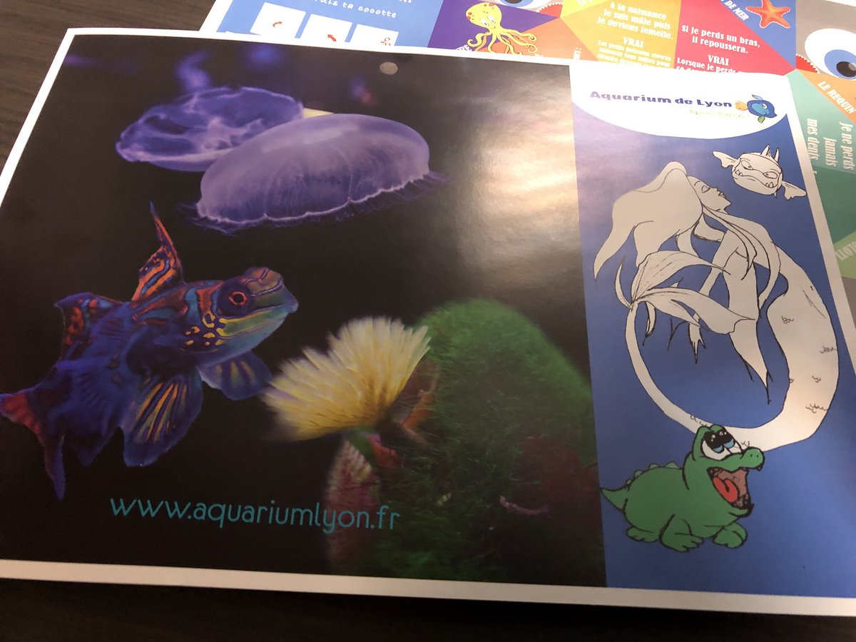 KMartinfuentes's tweet photo. Réunion d’agence @SullyGroup à l’Aquarium de Lyon 😄 #SG2017 #SullyWell #SullyWay https://t.co/eKiGxNYn9R