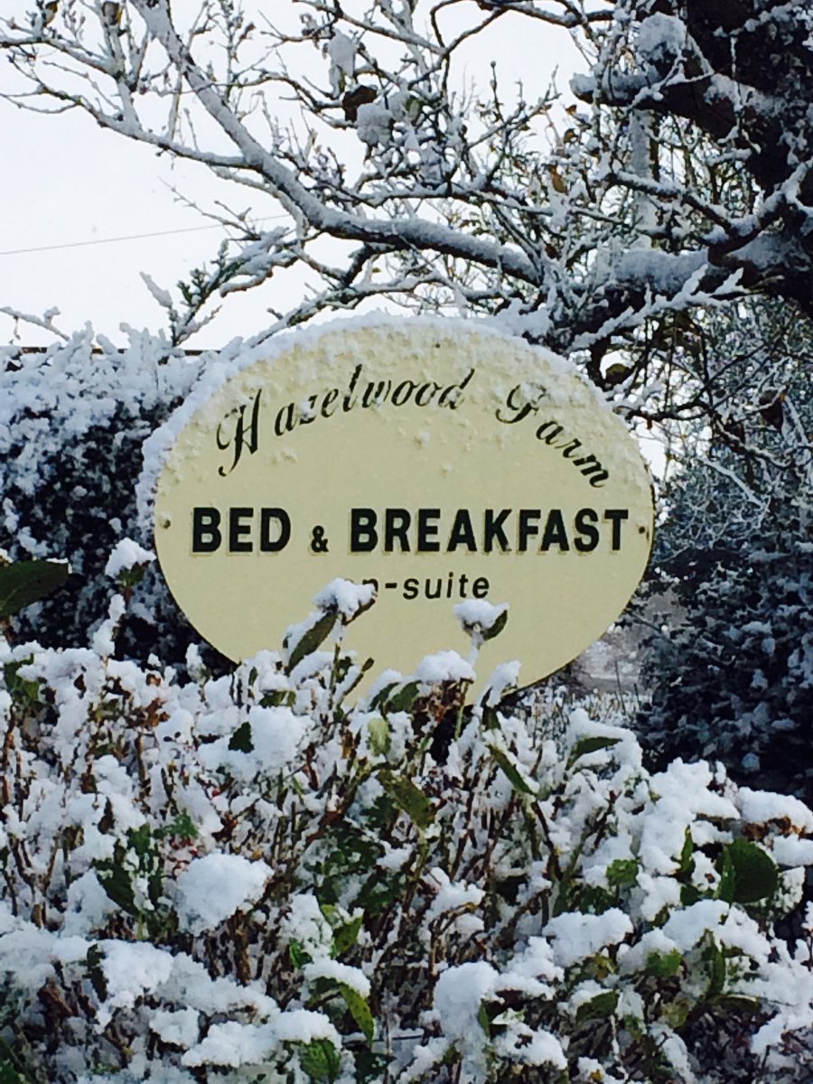 Hazelwood Farm tweet media