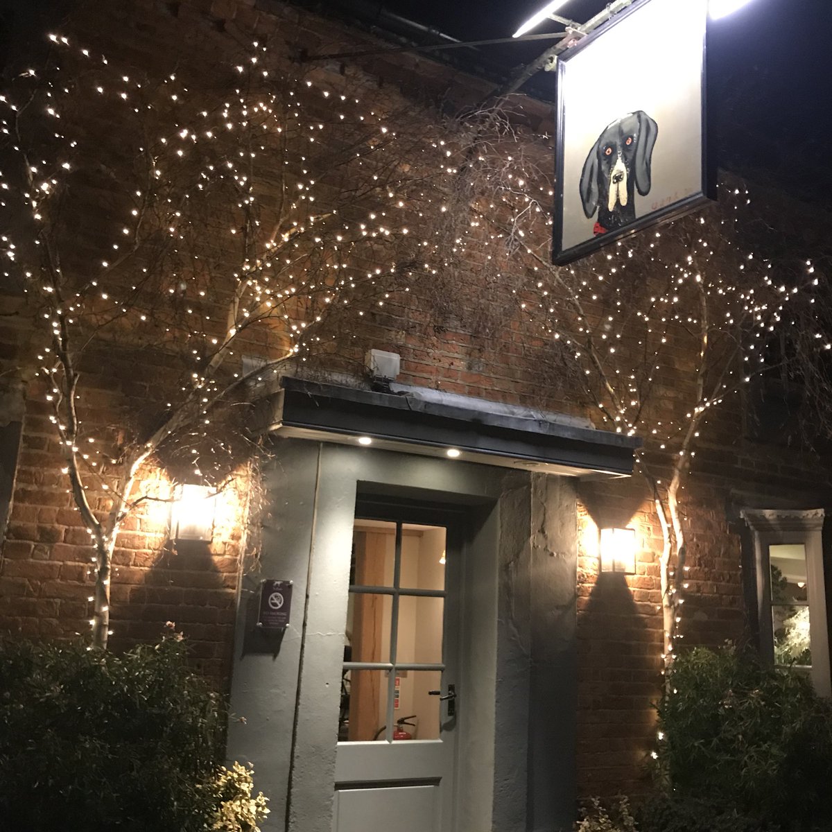 thePointerBrill's tweet image. It’s beginning to look a lot like Christmas! #pointerchristmas #thepointer #Christmas2017