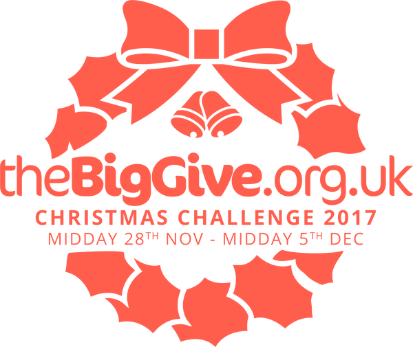 balletcentral's tweet photo. The @BigGive #ChristmasChallenge17 has got us feeling rather festive! Exciting things to come tomorrow from @balletcentral around London as December starts and the countdown to Christmas begins...#watchthisspace https://t.co/85loepH437 https://t.co/xZmry89hCp