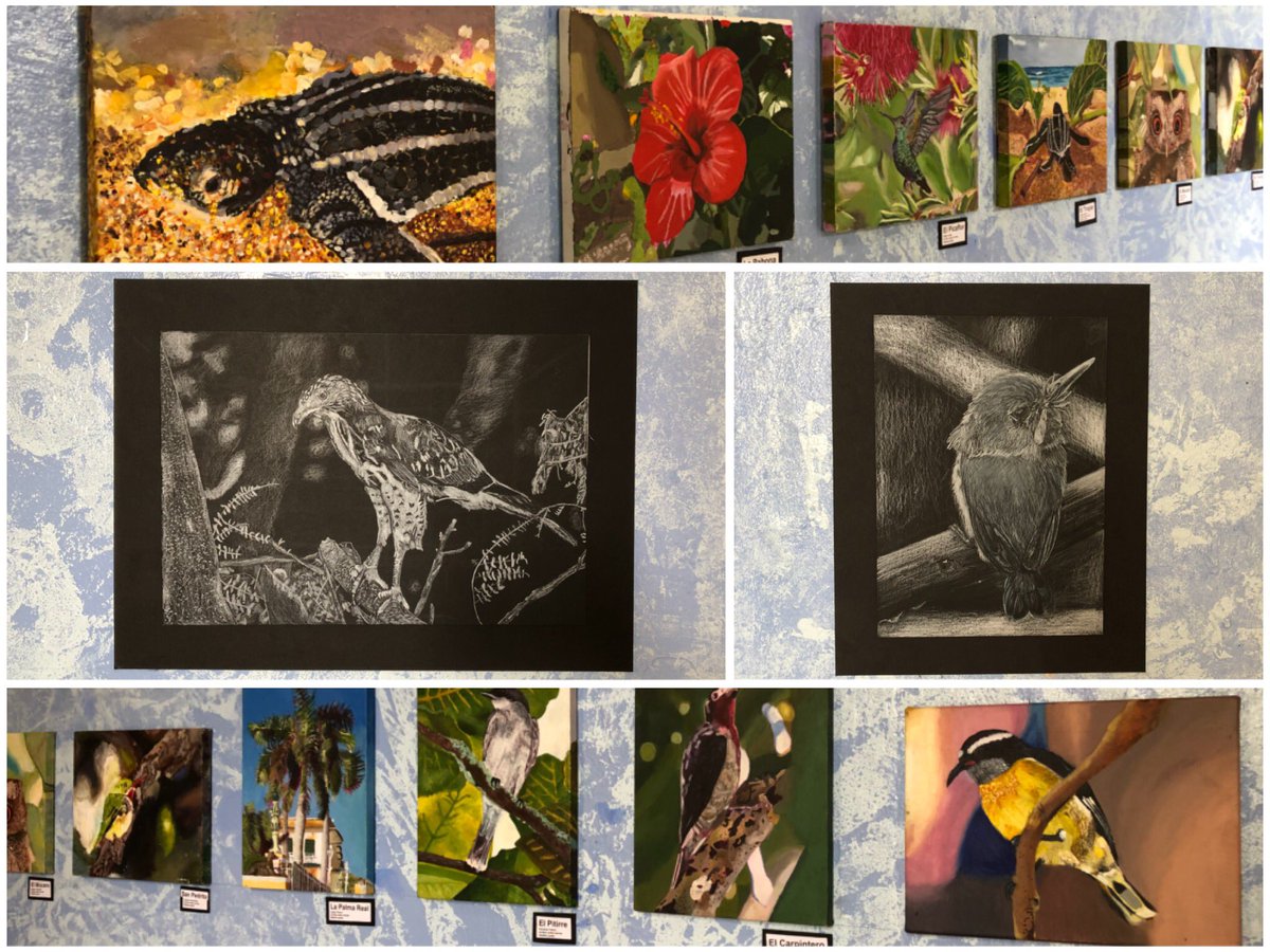 centralsanturce's tweet photo. Ahora en nuestro pasillo central: hermosa exposición de los estudiantes de 8vo grado de la Profa. Maila Colón. Los jóvenes se inspiraron en la obra de Luis Cajiga, Francisco Oller, y artistas de la gráfica puertorriqueña. Wow! #talentocentralino https://t.co/MLeuhf2ZF8